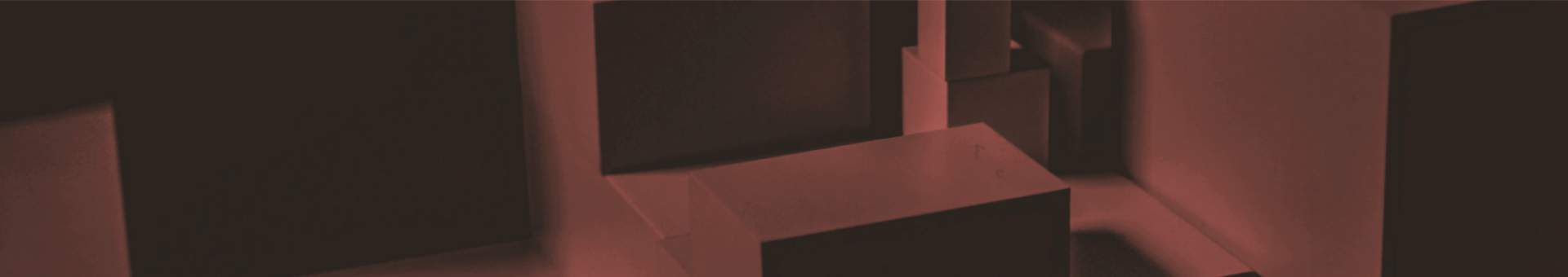 NEWS AND PROJECTS